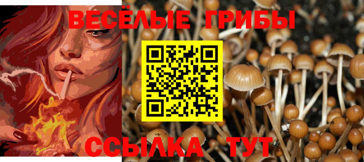 Галлюциногенные грибы GOLDEN TEACHER Заводоуковск