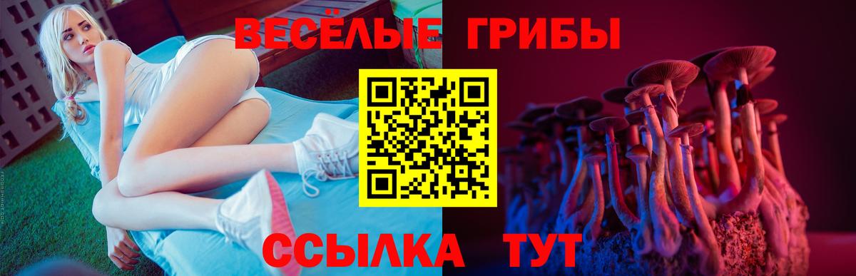 Заводоуковск  Псилоцибиновые грибы мицелий  Вход с VPN 